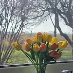 Komfortferienhaus Kuestenruhe Semesterbostad *